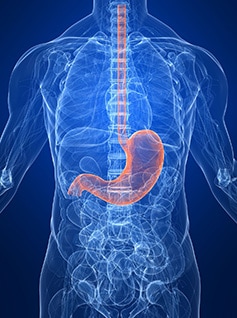 Gastrocopy - scan stomach for abnormalities