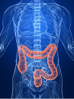 Colonoscopy - Scanning large intestine for abnormalities