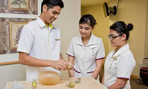 Raffles Hospital nursing orientation program