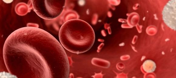 Haematopoietic Stem Cell Transplantation for Autoimmune Diseases