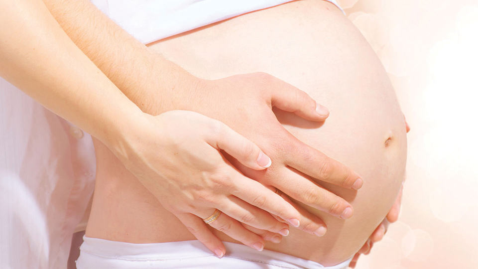 fertility fertility