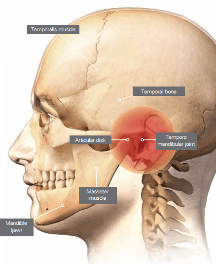 4-Jaw-dropping-Facts-about-TMD