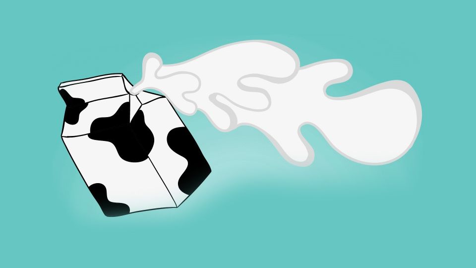 Are-You-Consuming-Enough-Calcium Are-You-Consuming-Enough-Calcium