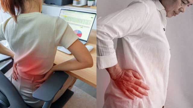 Back Pain Explained Causes MRI Scan Guidelines and Evidence-Based Management