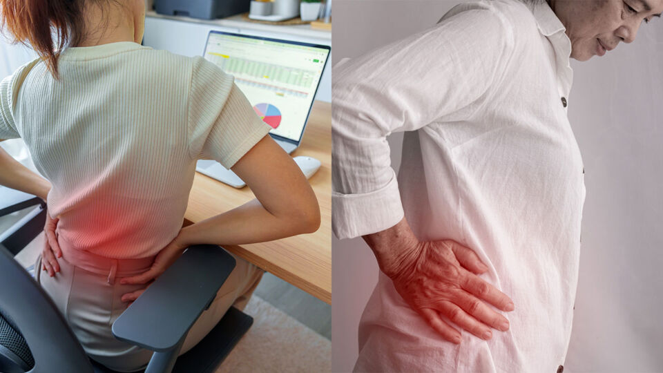 Back Pain Explained Causes MRI Scan Guidelines and Evidence-Based Management