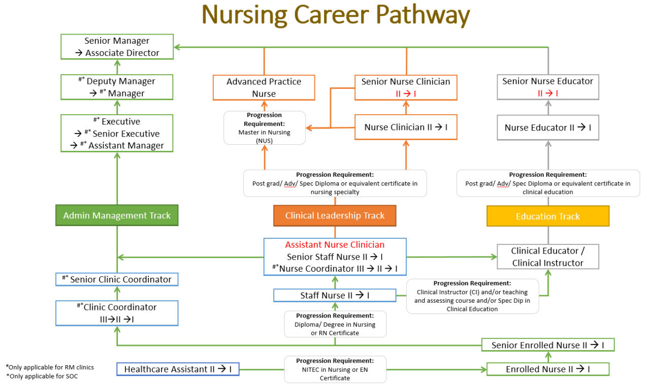 nursing-career