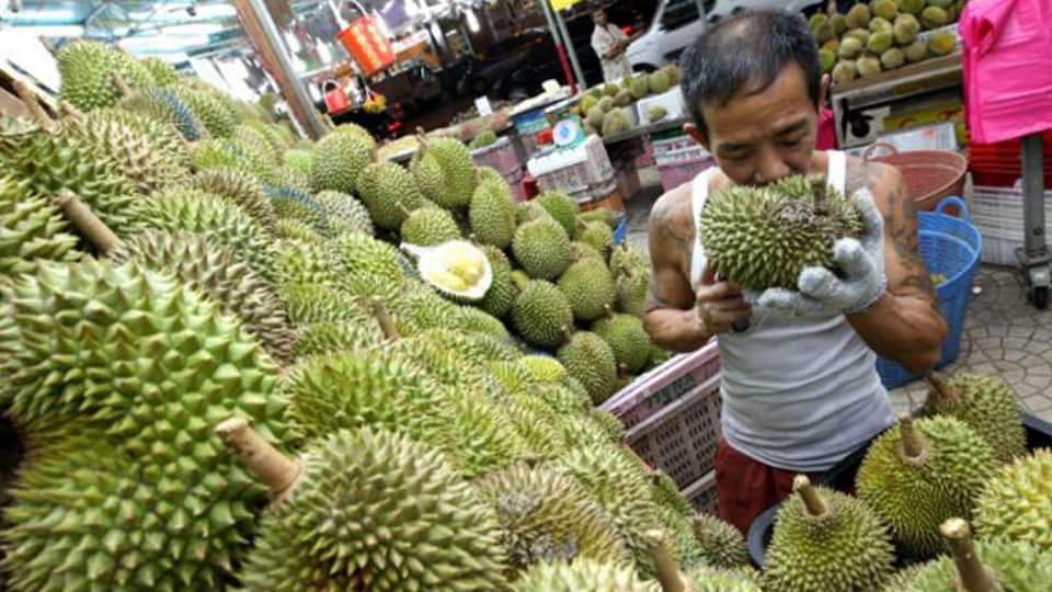 5-myths-about-durian 5-myths-about-durian