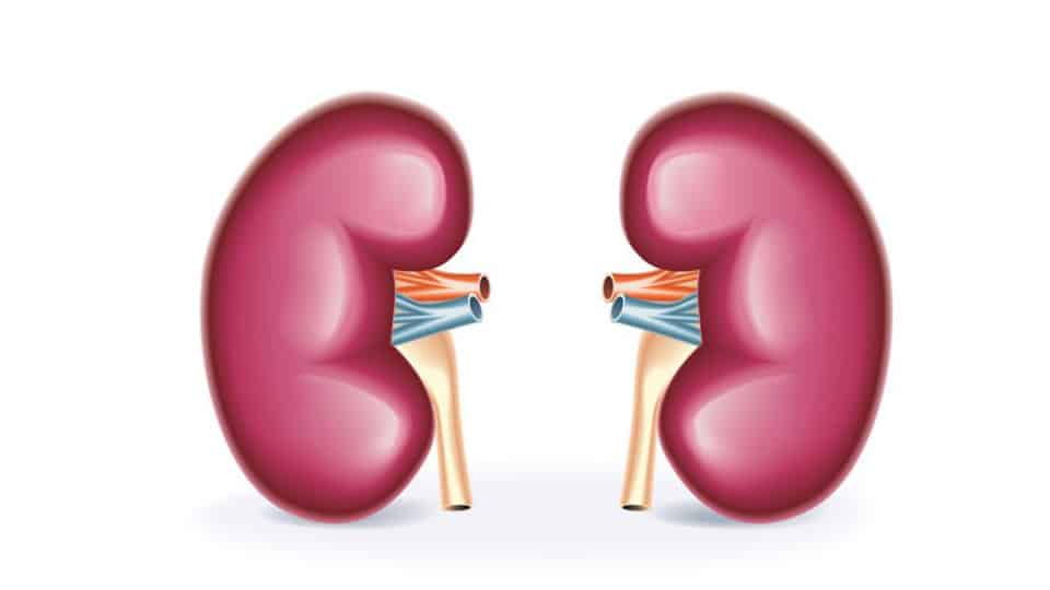 kidney-advisory