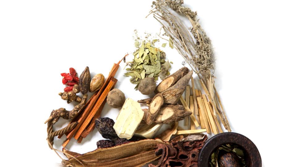 Optimising-Your-Immunity-The-TCM-approach Optimising-Your-Immunity-The-TCM-approach