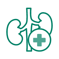 nephrology services