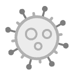 An inactivated COVID-19 virus