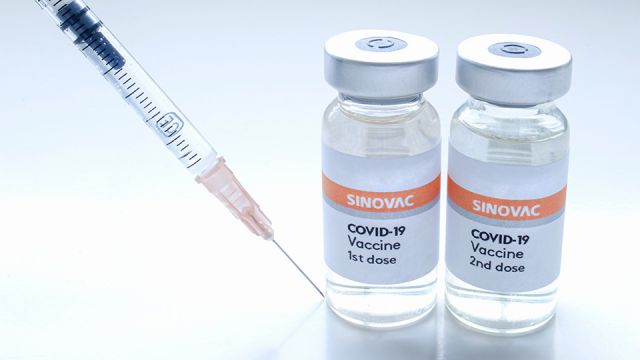 Covid-19 Sinovac vaccine