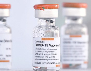 Covid-19 Sinovac vaccine