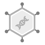 A modified adenovirus