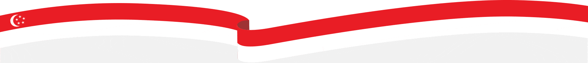 2021-ndp-divider 2021-ndp-divider