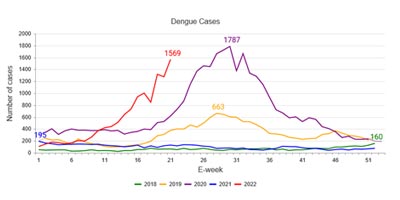 Dengue cases in Singapore from 2018 to 2022 - MOH source