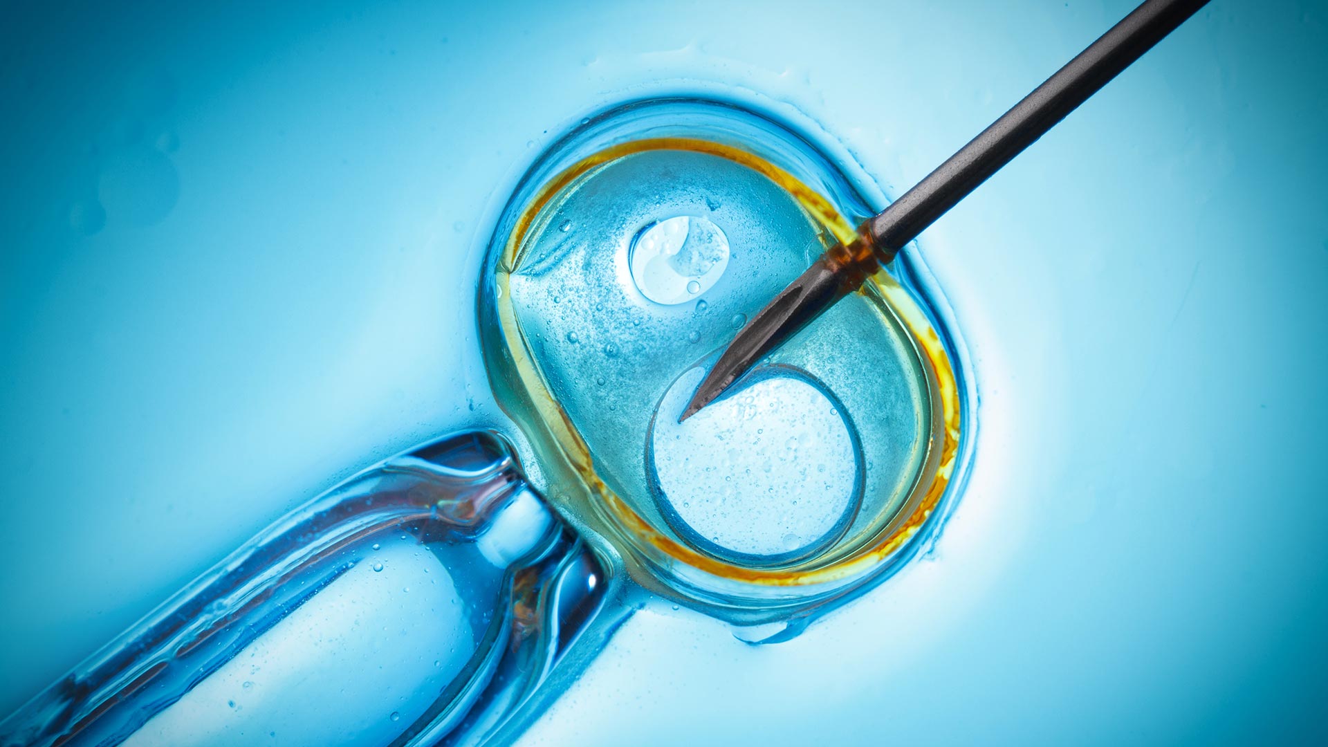 Egg freezing preparation