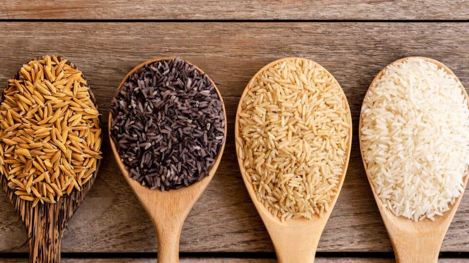 The different colours of rice