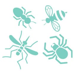 Hive causes - insect bites and stings Possible hive causes - insect bites and stings
