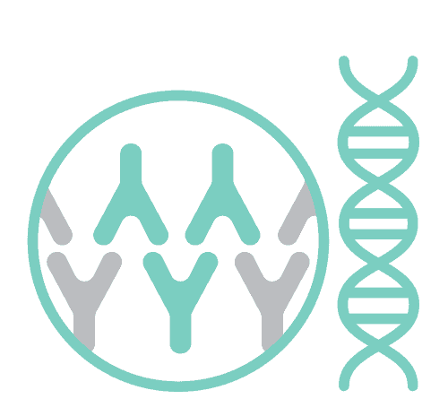 Family history or personal history of skin cancers Family history or personal history of skin cancers