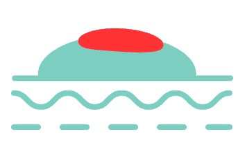 swelling and skin lesions