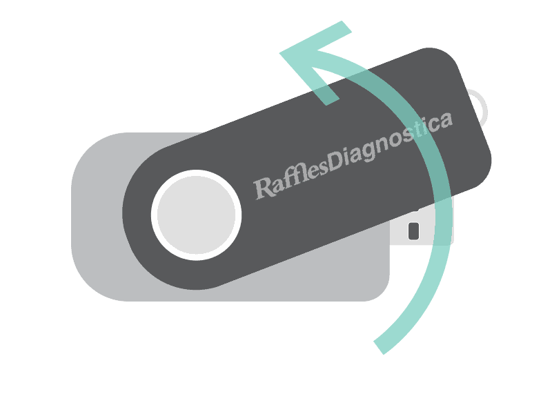 Raffles Diagnostica data flip drive, flip it over Raffles Diagnostica data flip drive, flip it over