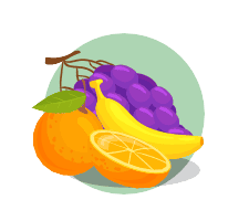 Vitamins and Minerals