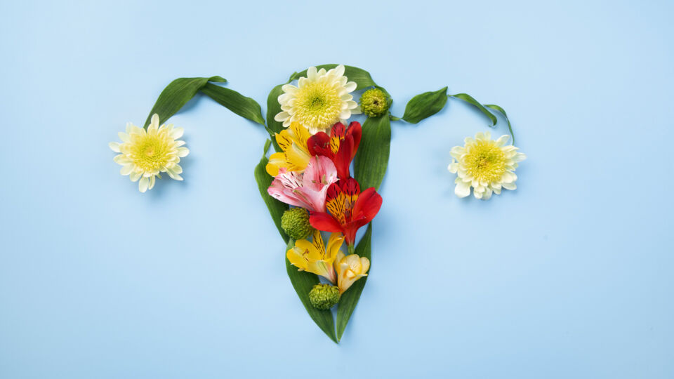 Frequently Asked Questions on Cervical Cancer Screening