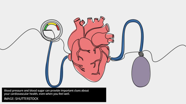 Illustration of a human heart connected to a blood pressure monitor and cuff.