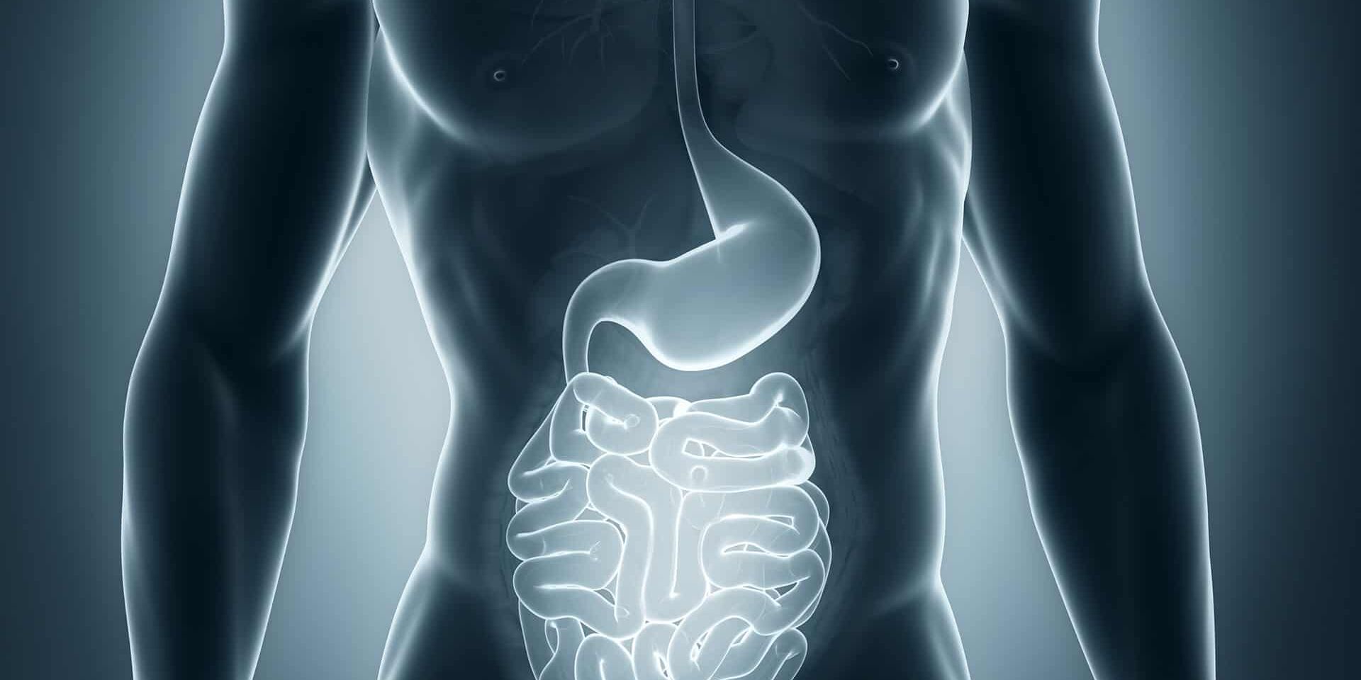 Gastroenterology