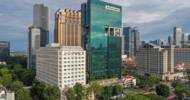 Raffles Hospital Singapore 新加坡莱佛士医院