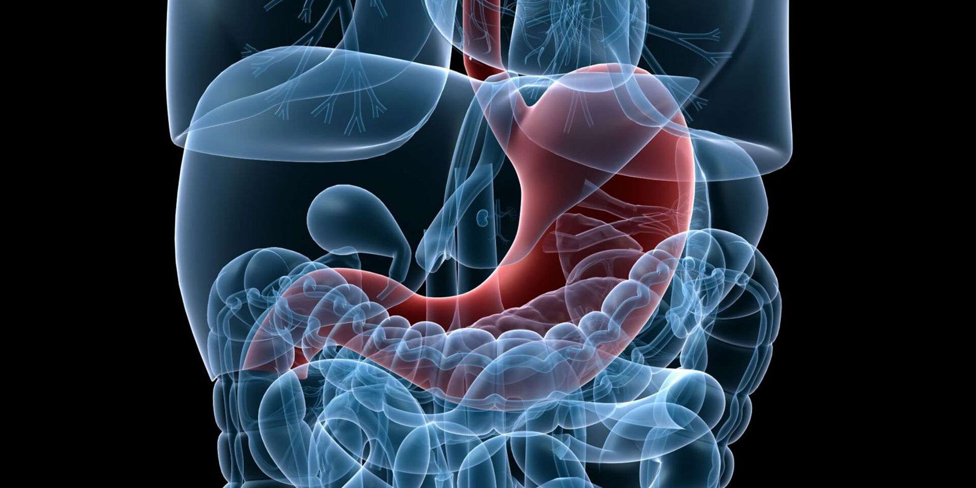 gastroscopy screening